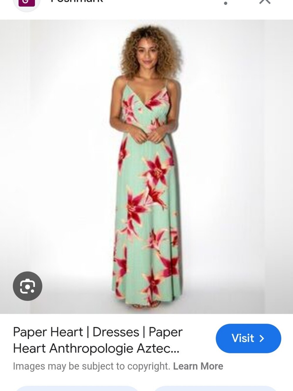 Floral Mint Maxi Dress with Red Blossom Print